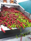 Red Cayenne Chili Olive Oil - Whole Fruit Agrumato Method