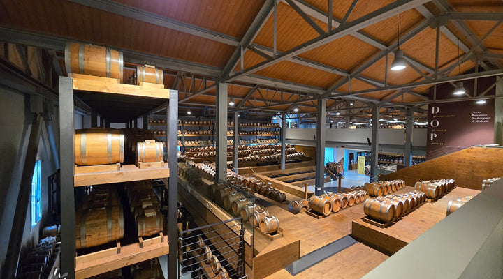 Understanding Polyphenols in Balsamic Vinegar