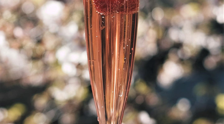 Elderflower Champagne Cocktail