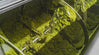Olive Oil - Chemical Definitions