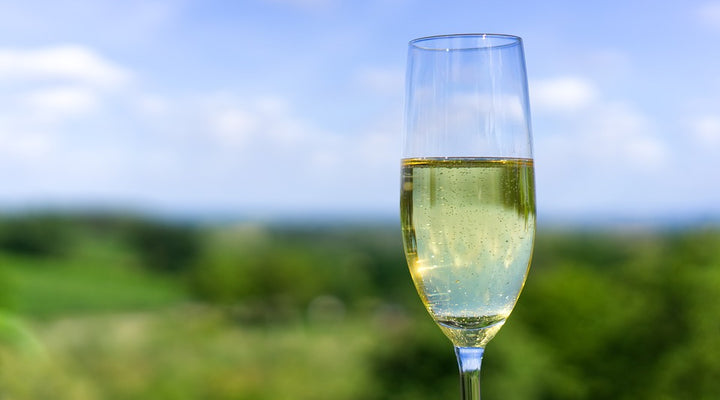 Sparkling Gravenstein Apple Shrub