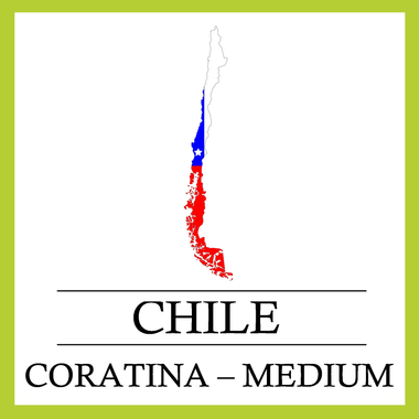 Coratina - Chile