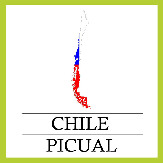 Picual - Chile