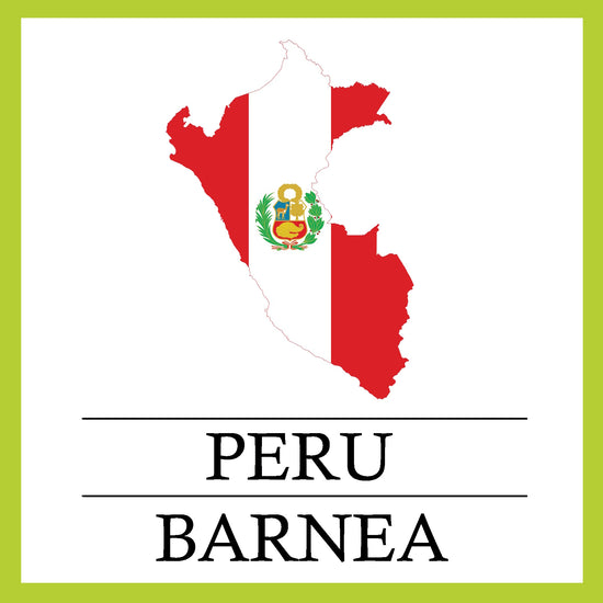 Barnea - Peru