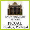 Picual - Portugal - SAOV Estate