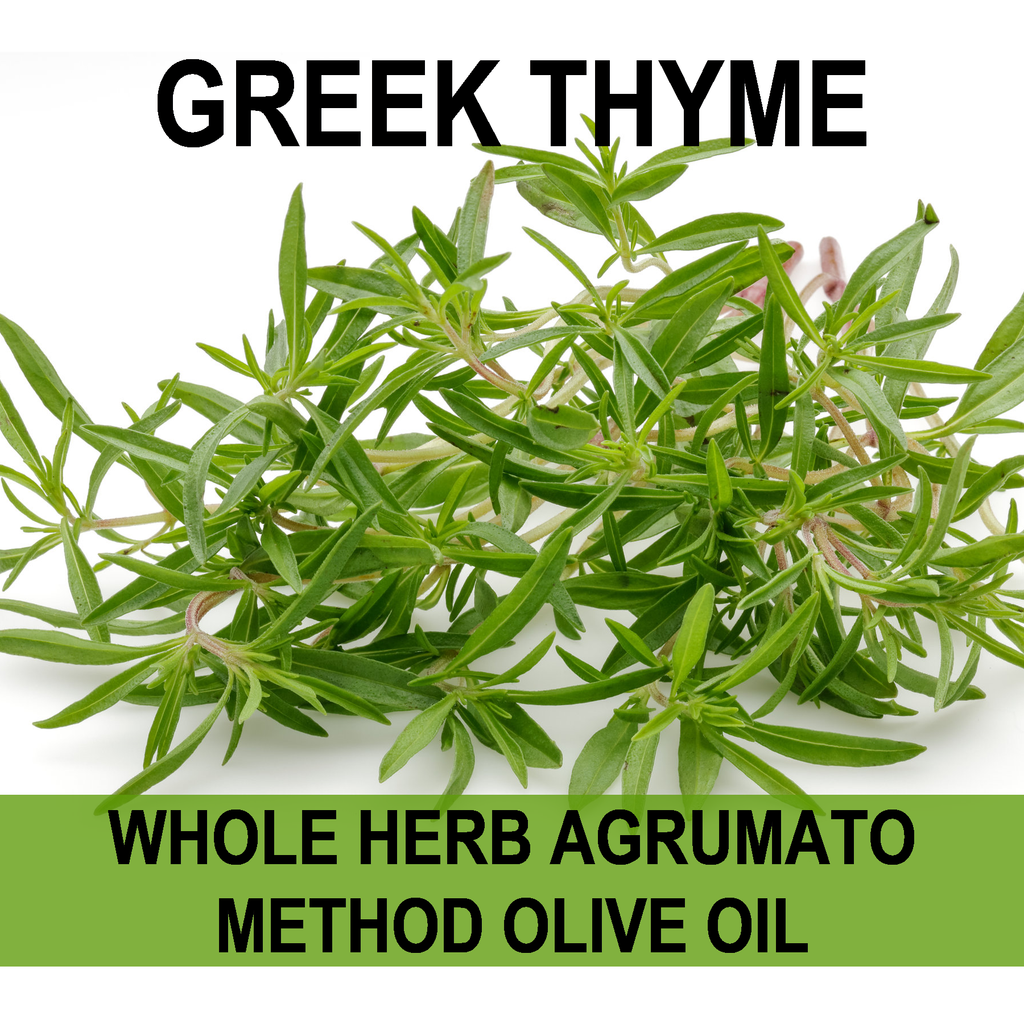 Thymes - Olive Leaf Hand Creme - Grimm & Gorly, Belleville
